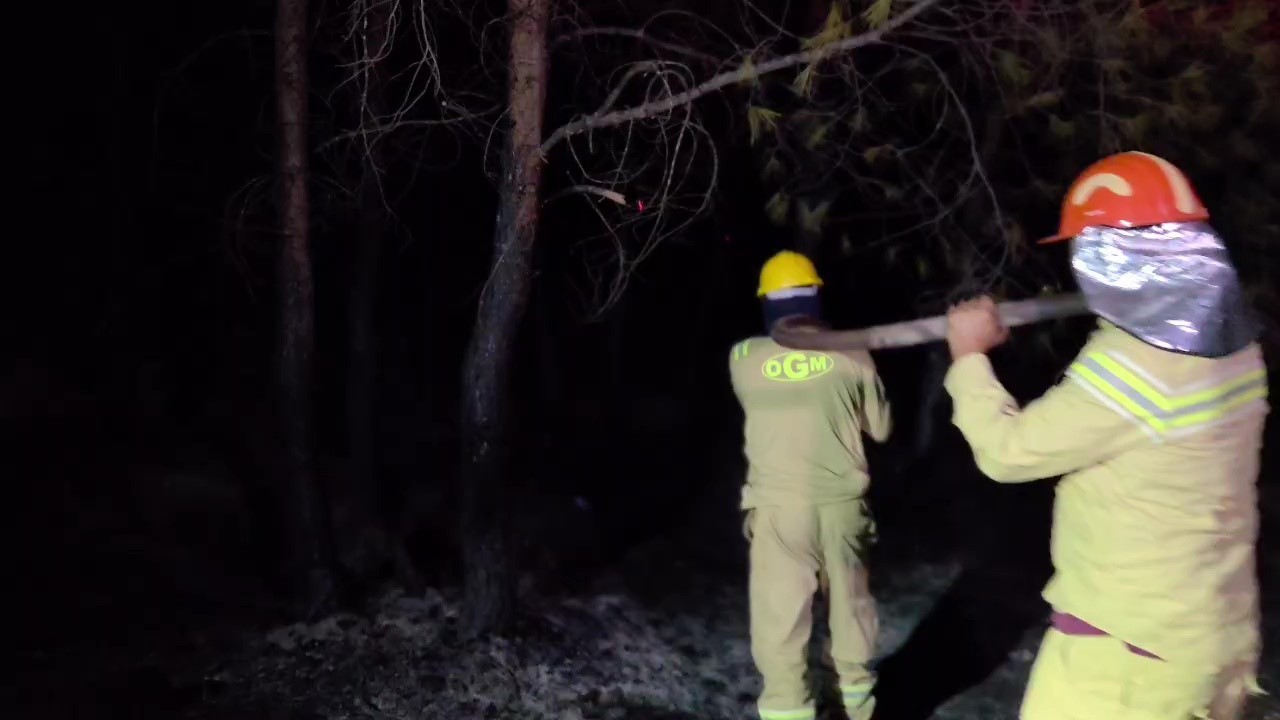 KAŞ’TAKİ ORMAN YANGINI BÜYÜK ÖLÇÜDE KONTROL ALTINDA