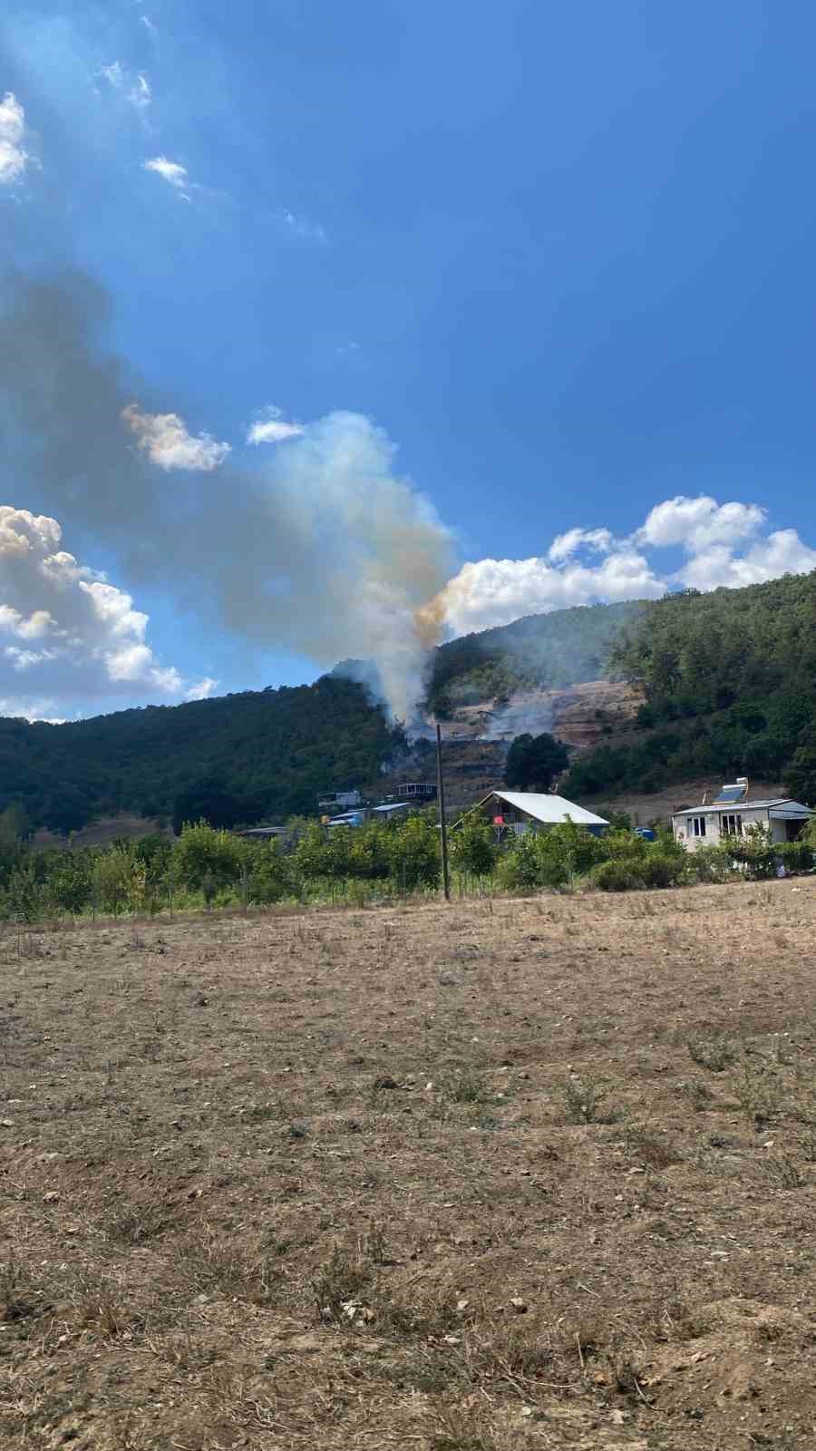 KESTEL’DE TARIM ARAZİSİNDE BAŞLAYAN YANGIN ORMANA SIÇRADI
