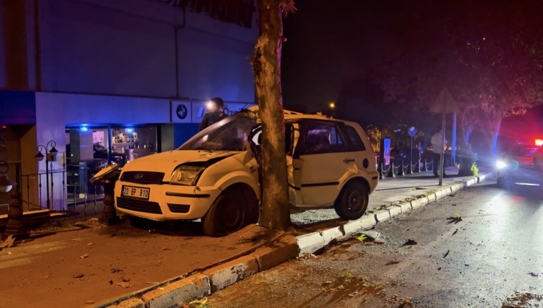 KONTROLDEN ÇIKAN OTOMOBİL AĞACA ÇARPARAK DURABİLDİ: 1 YARALI