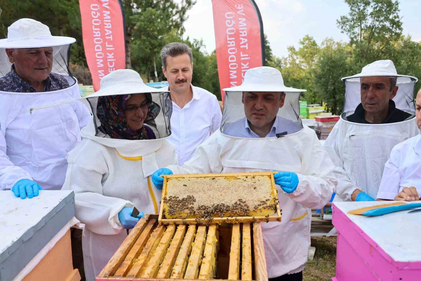 BİLECİK’TE 22 BİN 500 KOVANDAN 135 TON BAL ÜRETİLİYOR