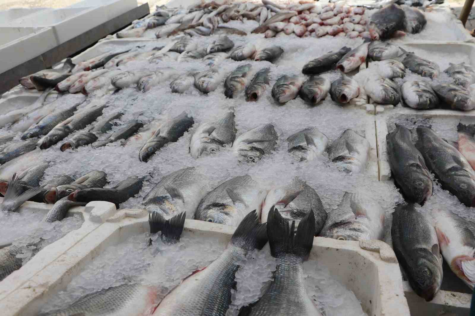 ADANA’DA SICAK HAVALAR BALIK SATIŞLARINI DÜŞÜRDÜ