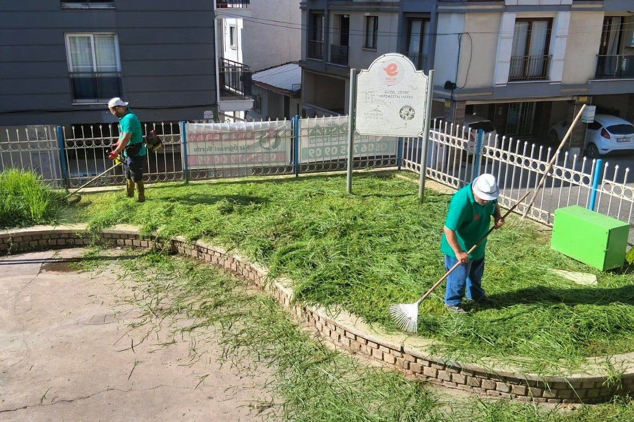 EFELER BELEDİYESİ PARKLARDA BAKIM ÇALIŞMALARINI SÜRDÜRÜYOR
