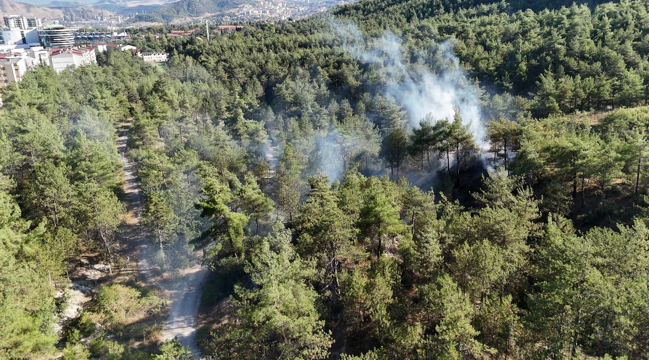 KENT ORMANINDAKİ ÖRTÜ YANGINI BÜYÜMEDEN SÖNDÜRÜLDÜ