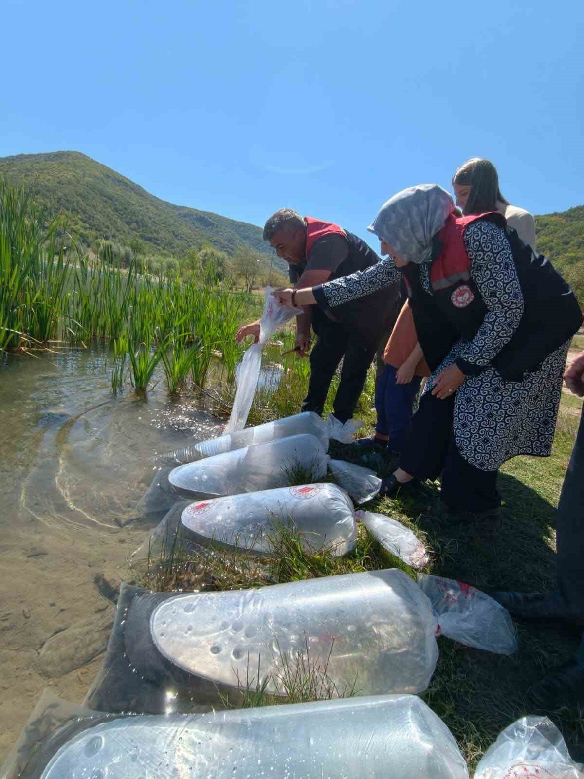 KARABÜK’TEKİ GÖLETLERE 105 BİN YAVRU BALIK BIRAKILDI