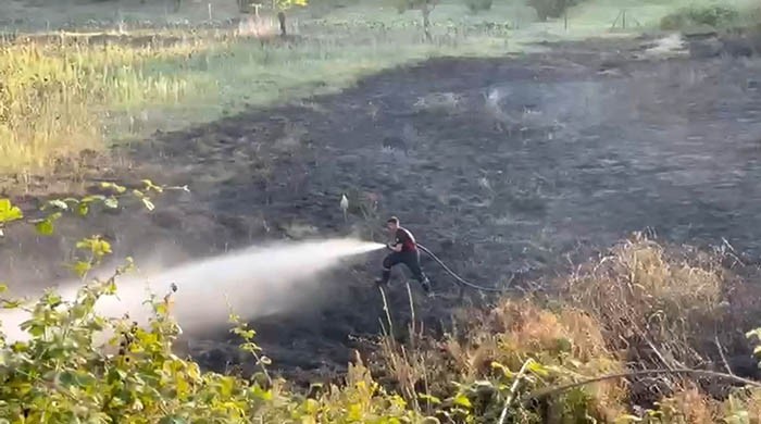 TARLADA YAKILAN ATEŞ OTLUK ALANA SIÇRADI: 4 DÖNÜM ALAN ZARAR GÖRDÜ