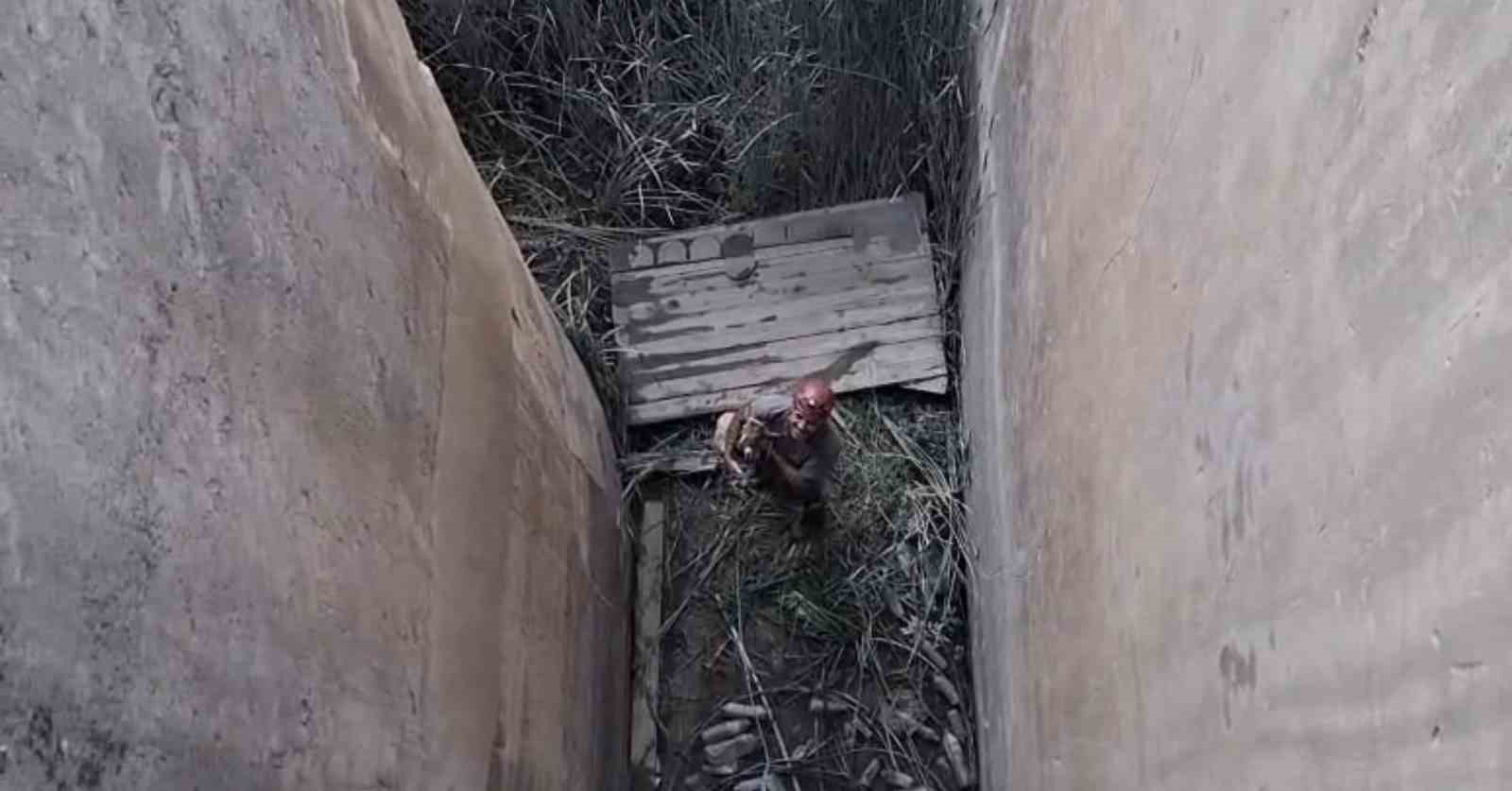 KORUMA ALTINDAKİ DAĞ KEÇİSİ İÇİN ÖZEL KURTARMA OPERASYONU