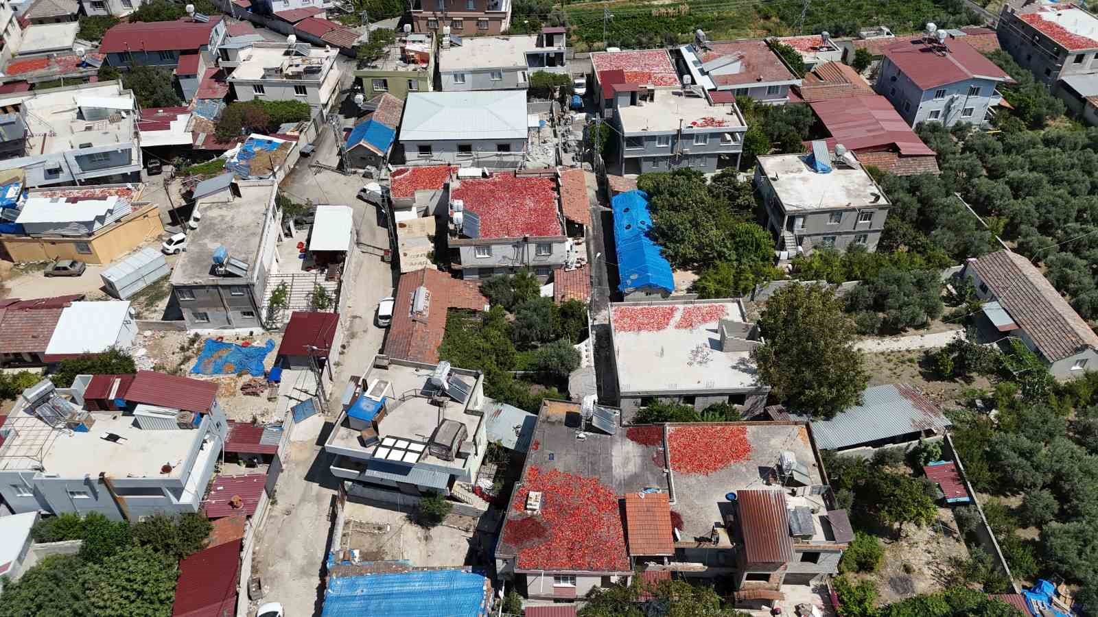 KAVURUCU SICAKTA DEVAM EDEN ACI MESAİYLE BİRLİKTE DAMLAR KIRMIZIYA BÜRÜNDÜ