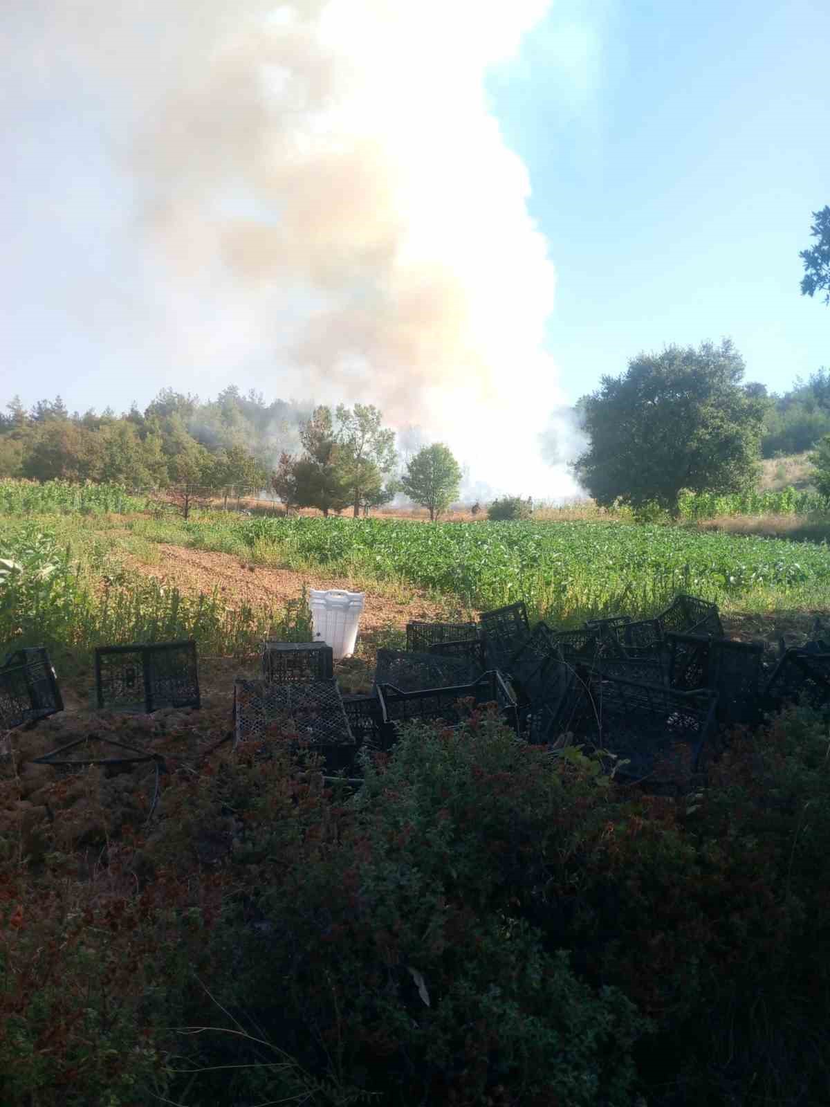 BURSA’DA ORMAN YANGINI: HAVADAN VE KARADAN MÜDAHALE BAŞLATILDI