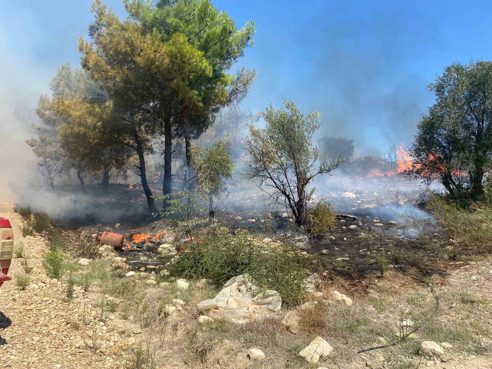 ANTALYA’DA ZİRAİ ALANDA ÇIKAN YANGIN BÜYÜMEDEN SÖNDÜRÜLDÜ