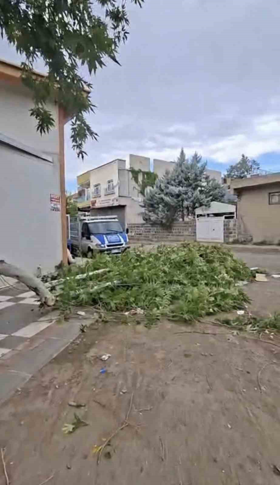 SİVEREK’TE ETKİLİ OLAN FIRTINA, TARLADA ÇALIŞAN İŞÇİLERE ZOR ANLAR YAŞATTI