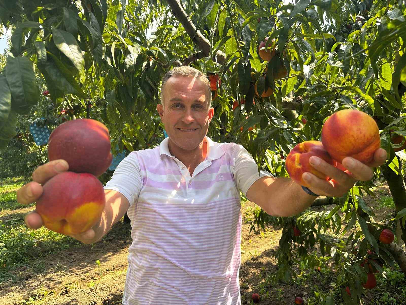 AĞUSTOSTA TARLADA 10 LİRAYA KADAR DÜŞMÜŞTÜ, DALINDA 40 LİRAYI GÖRDÜ