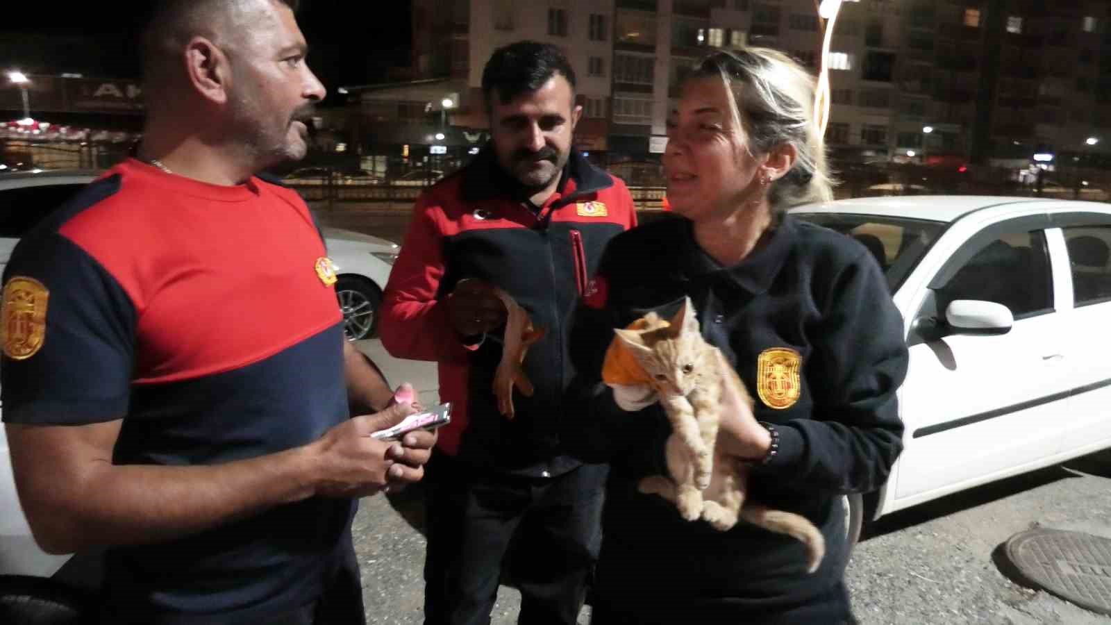 YOZGAT’TA ARACIN MOTORUNDA MAHSUR KALAN YAVRU KEDİYİ İTFAİYE KURTARDI