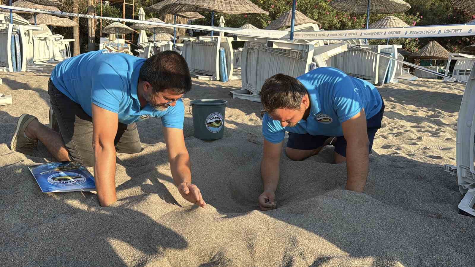 KUMSALDA BAŞLAYAN UMUT YOLCULUĞU DENİZDE TAMAMLANDI: "62 CARETTA CARETTA YAVRUSU MAVİ SULARA ULAŞTI"