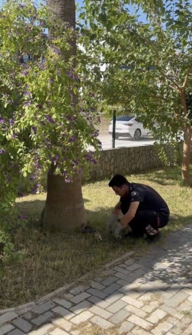 HAVALANDIRMA BOŞLUĞUNA DÜŞEN 3 YAVRU KEDİYİ İTFAİYE KURTARDI