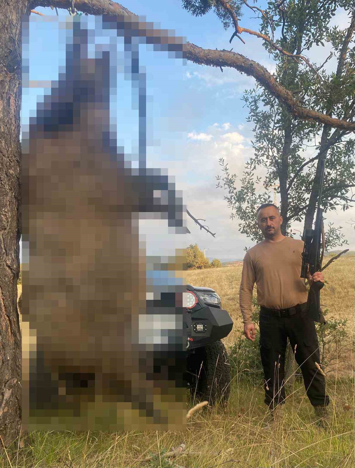 AKDAĞMADENİ’NDE YAKLAŞIK YARIM TONLUK DEV YABAN DOMUZU ÖLDÜRÜLDÜ