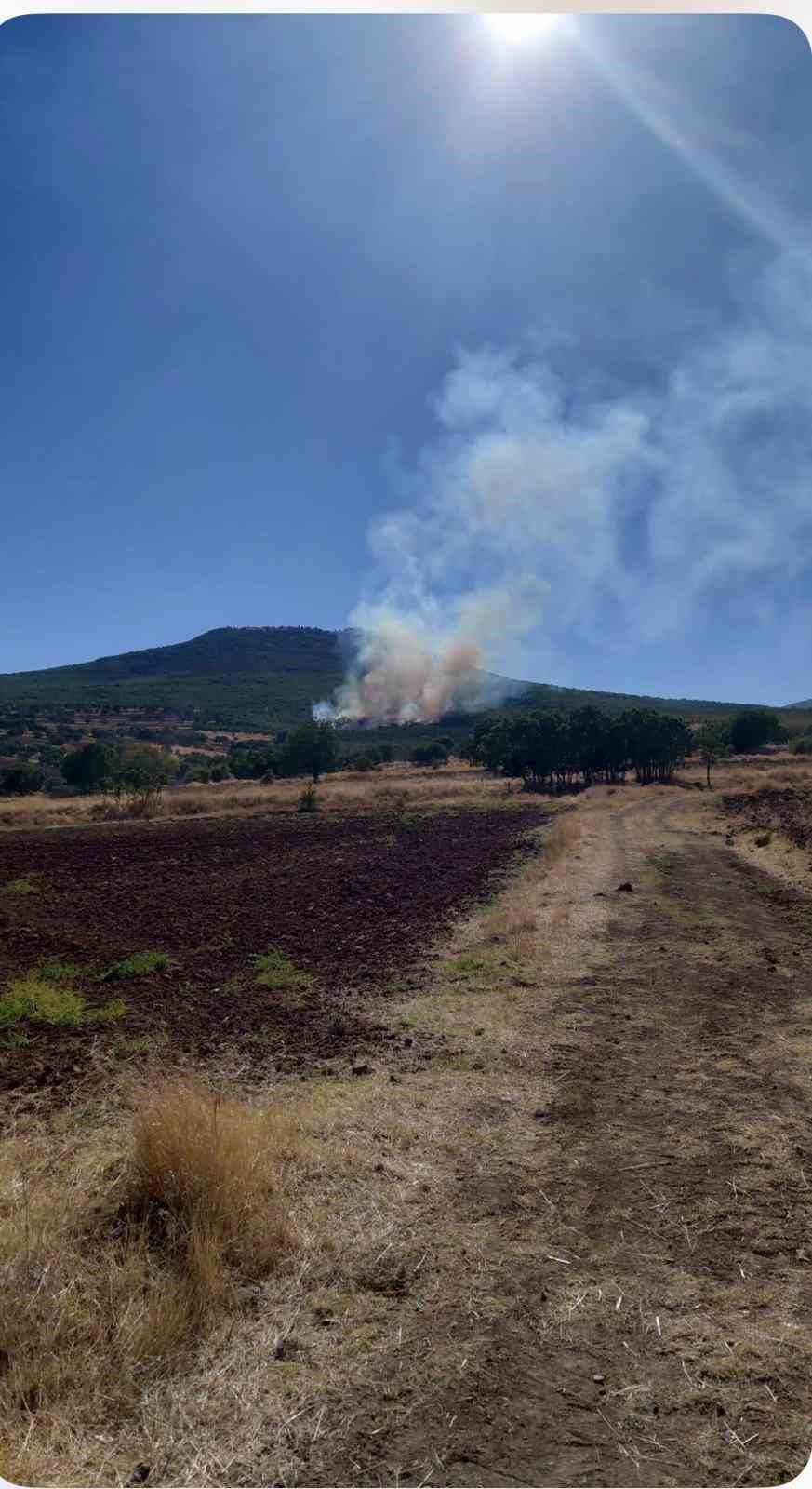 ESKİŞEHİR’DE ORMANLIK ALANDA ÇIKAN YANGIN KONTROL ALTINA ALINMAYA ÇALIŞILIYOR