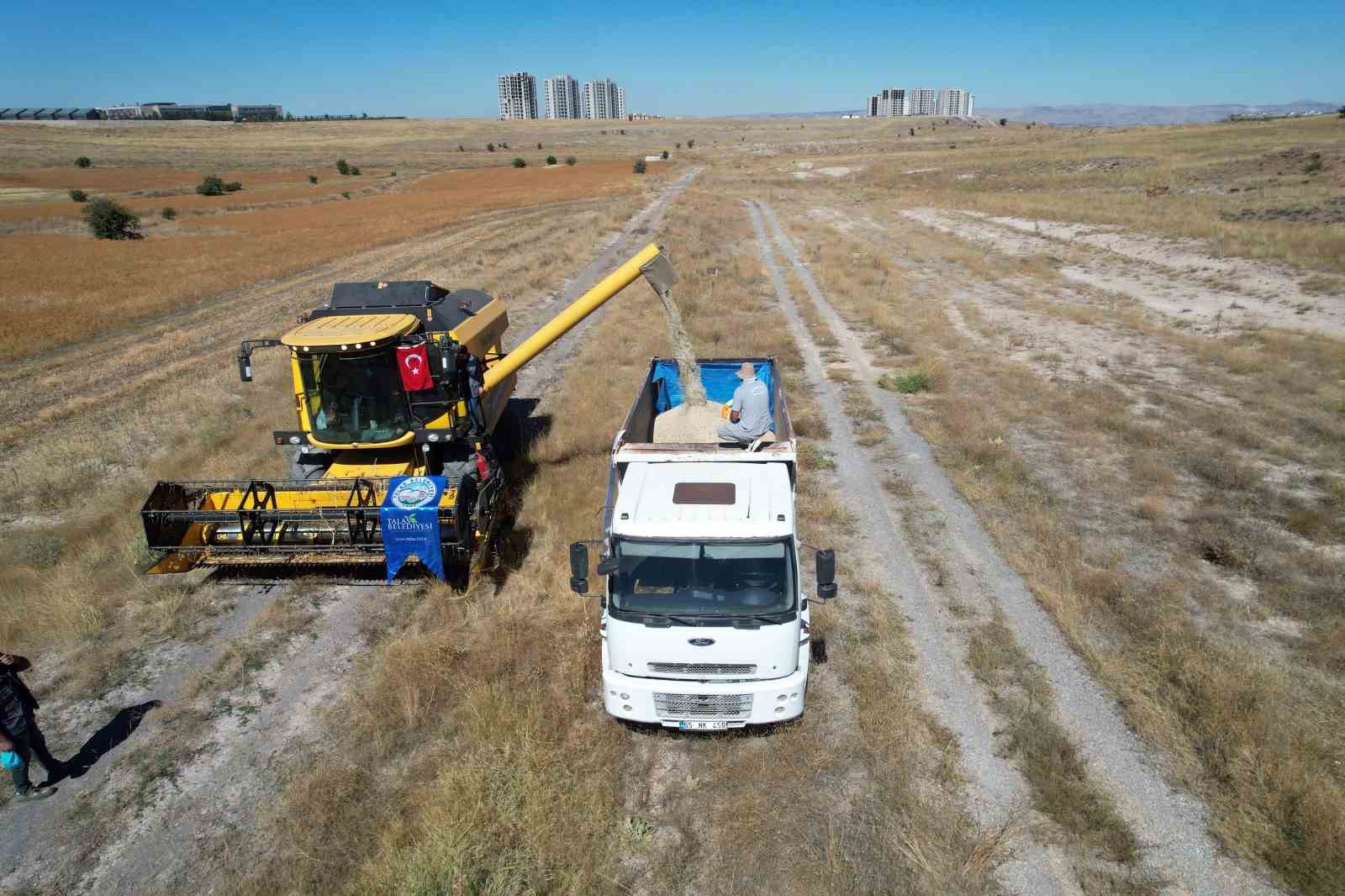 TALAS’TA 300 DEKARDA ASPİR HASADI