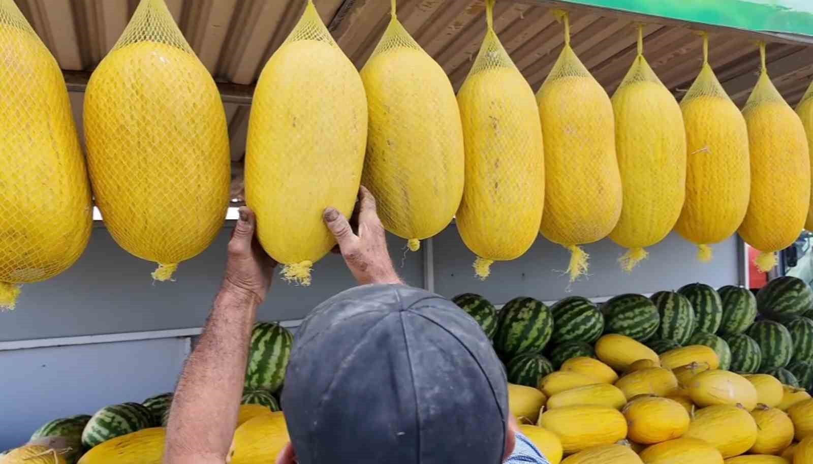 BEKLEDİKÇE GÜZELLEŞİYOR, ASILDIKÇA LEZZETLENİYOR: ÇORLU SEYMEN KAVUNU