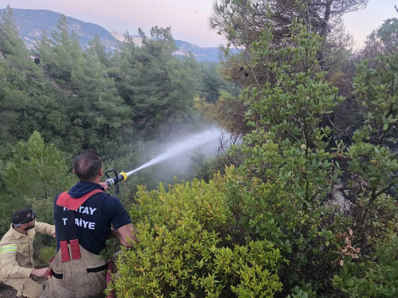 HATAY’DA ORMAN YANGINI ÇIKTI