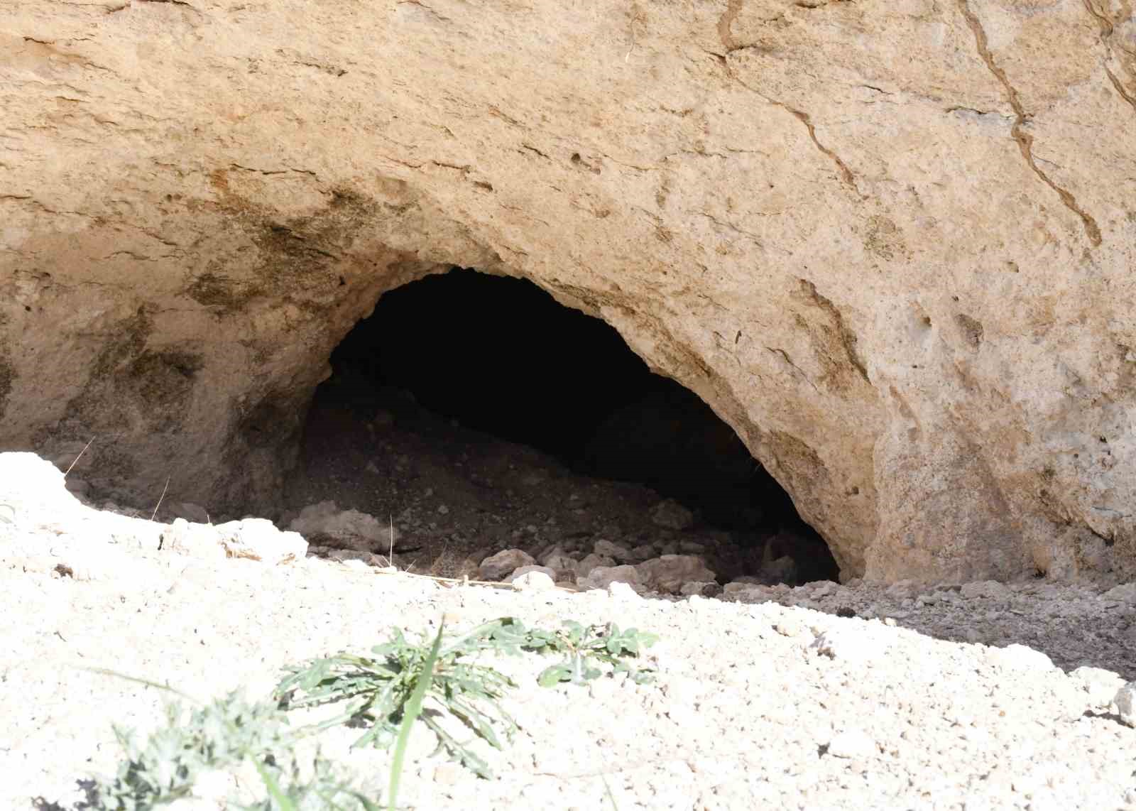 PEKMEZİN SIRRI BU TOPRAKTA: YOZGAT’TAN ANTALYA’YA, ALMANYA’YA KADAR GİDİYOR
