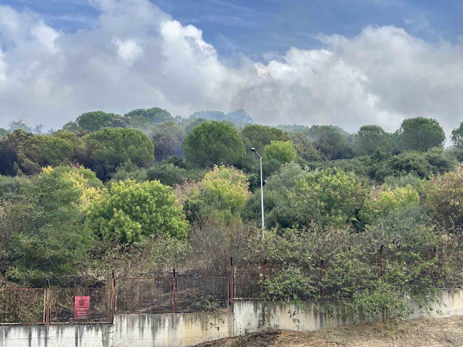 MALTEPE’DE ORMANLIK ALANDA KORKUTAN YANGIN: ALEVLER KENAN EVREN KIŞLASI’NA SIÇRADI