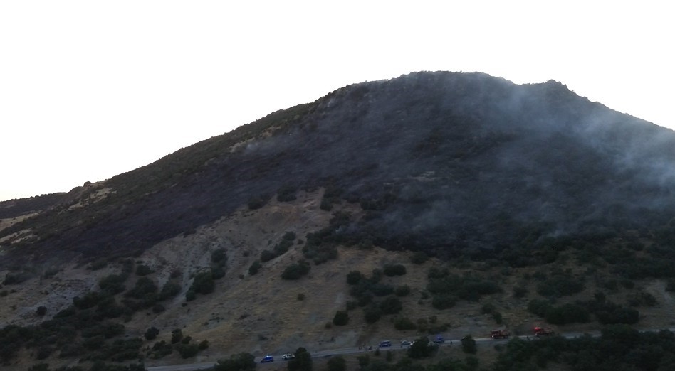 KONYA’DA ORMANLIK ALANDA YANGIN