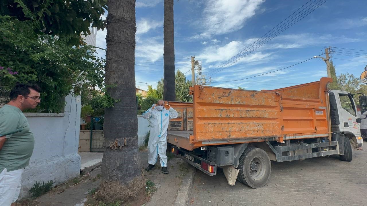MARMARİS’TEKİ ÇÖP EVDEN BİR KAMYON ÇÖP VE 30’A YAKIN KEDİ ÇIKTI