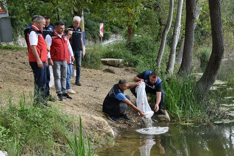 ORDU’DAKİ GÖL VE GÖLETLERE 80 BİN YAVRU SAZAN BIRAKILDI