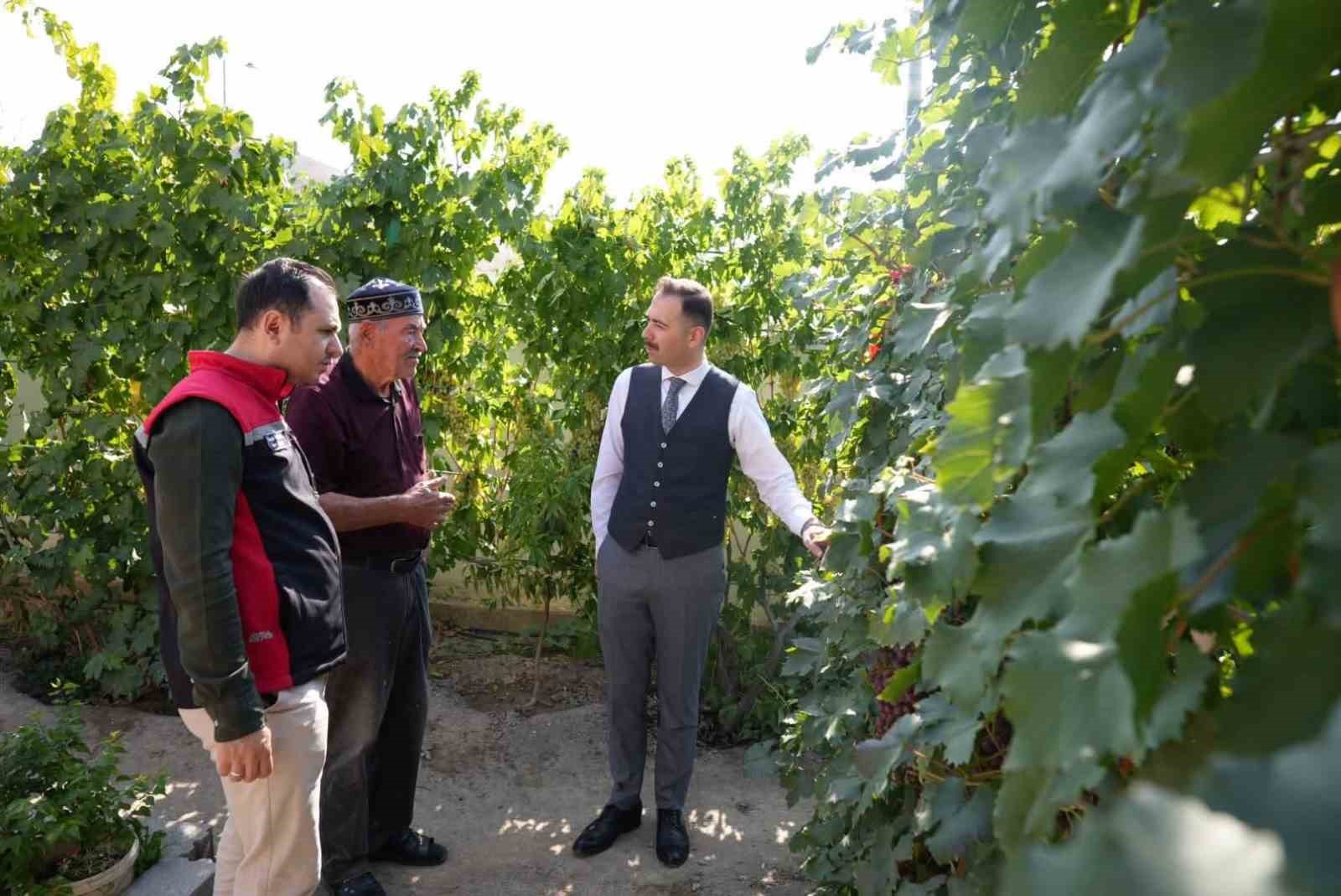 ÜZÜMLÜ KAYMAKAMI HÖKELEKLİ, ÜZÜM BAHÇESİ VE TARIMSAL ERKEN UYARI SİSTEMİNİ İNCELEDİ