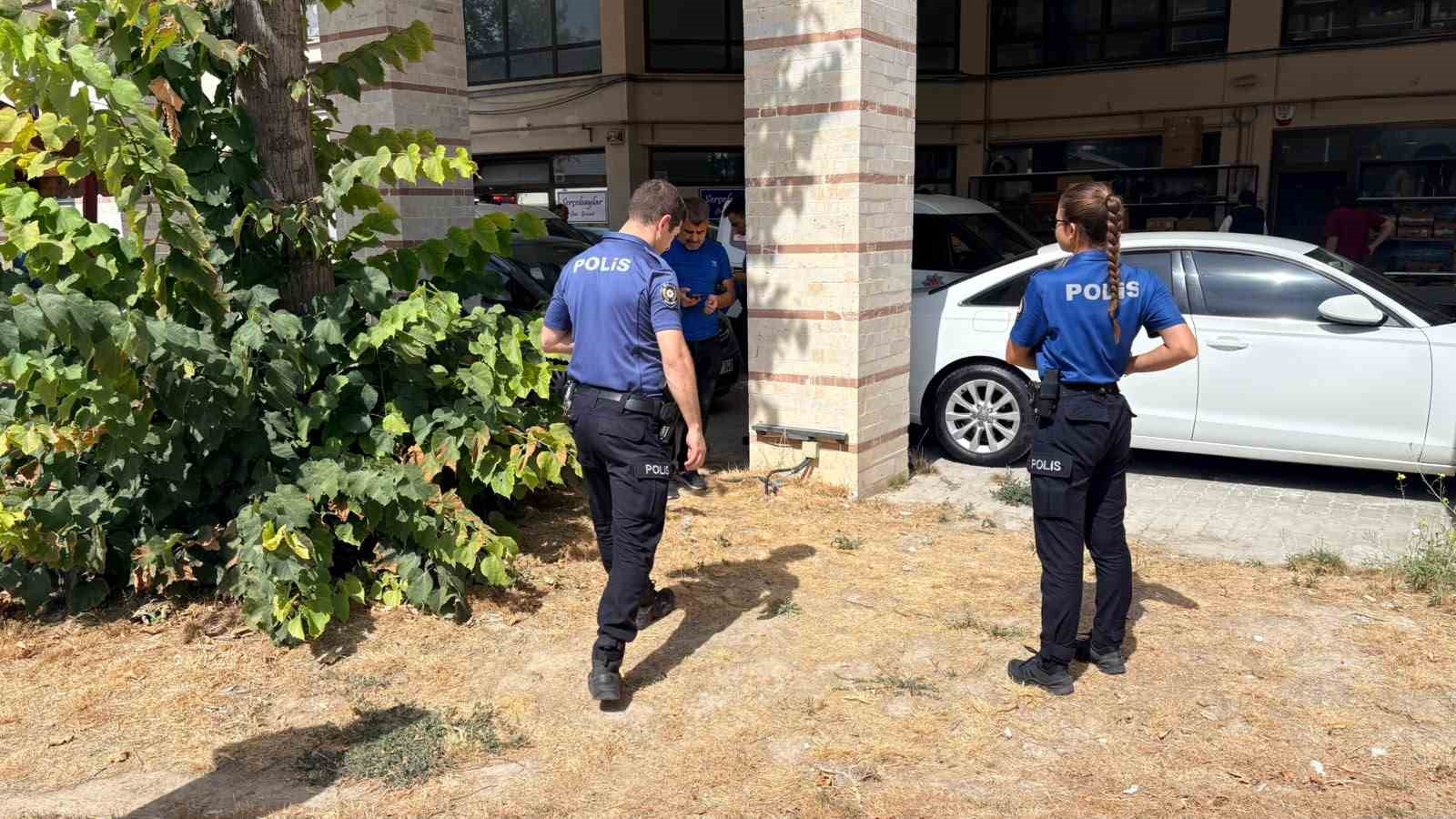 ESNAFIN BESLEDİĞİ KEDİ BACAKLARI KESİLMİŞ HALDE BULUNDU