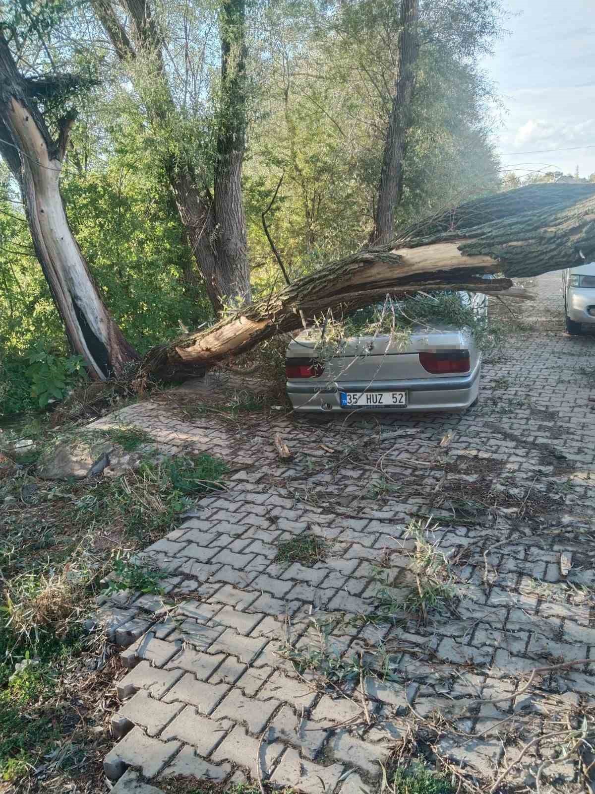 FIRTINADA KÖKÜNDEN SÖKÜLEN AĞAÇ OTOMOBİLİN ÜZERİNE DEVRİLDİ