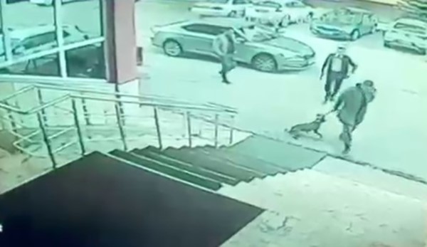 ERZURUM PALANDÖKEN KAYMAKAMI VE KORUMASINA SORUŞTURMA AÇILDI