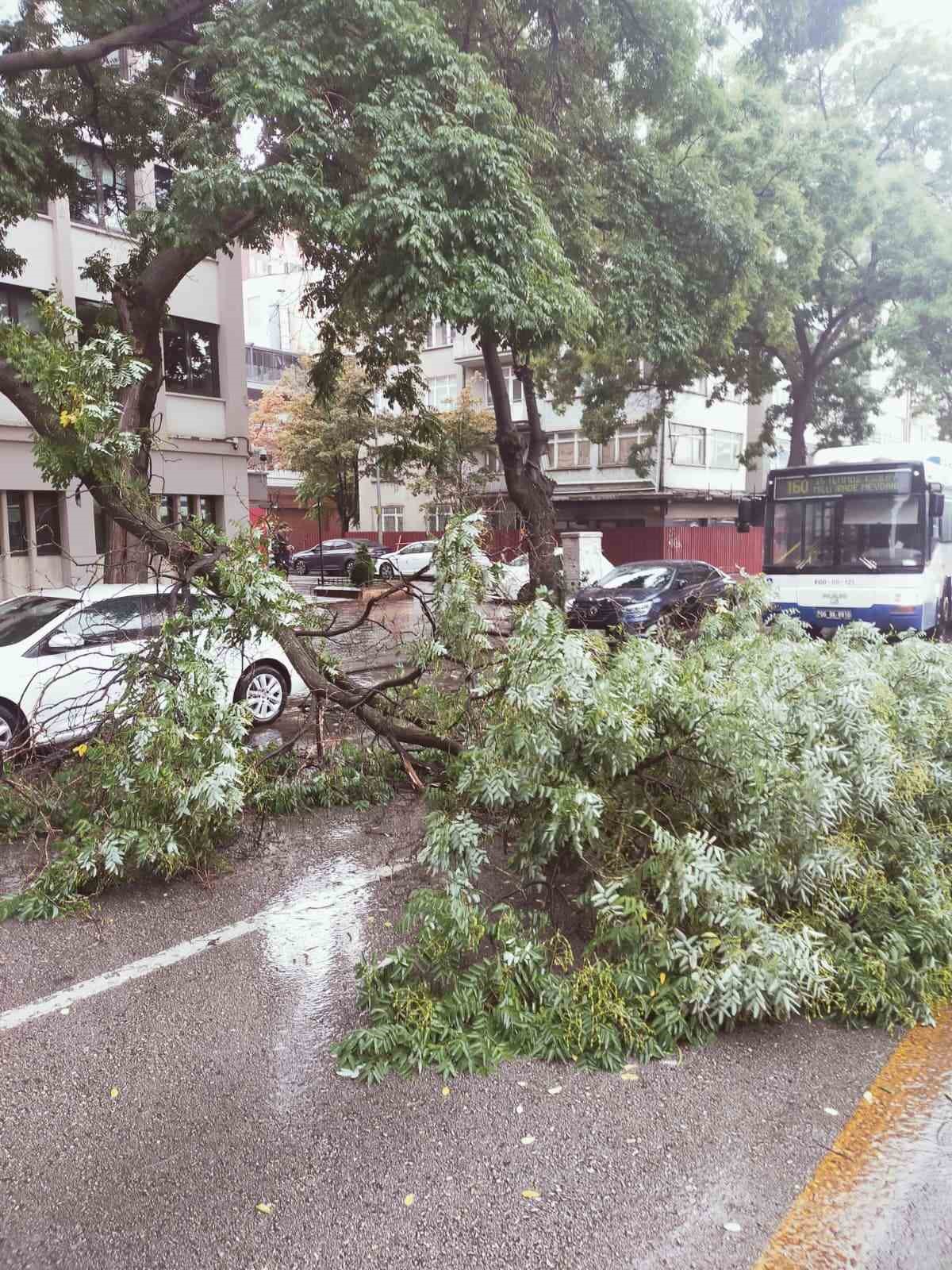 BAŞKENTTE YAĞIŞTAN DEVRİLEN AĞAÇ TRAFİĞİ AKSATTI