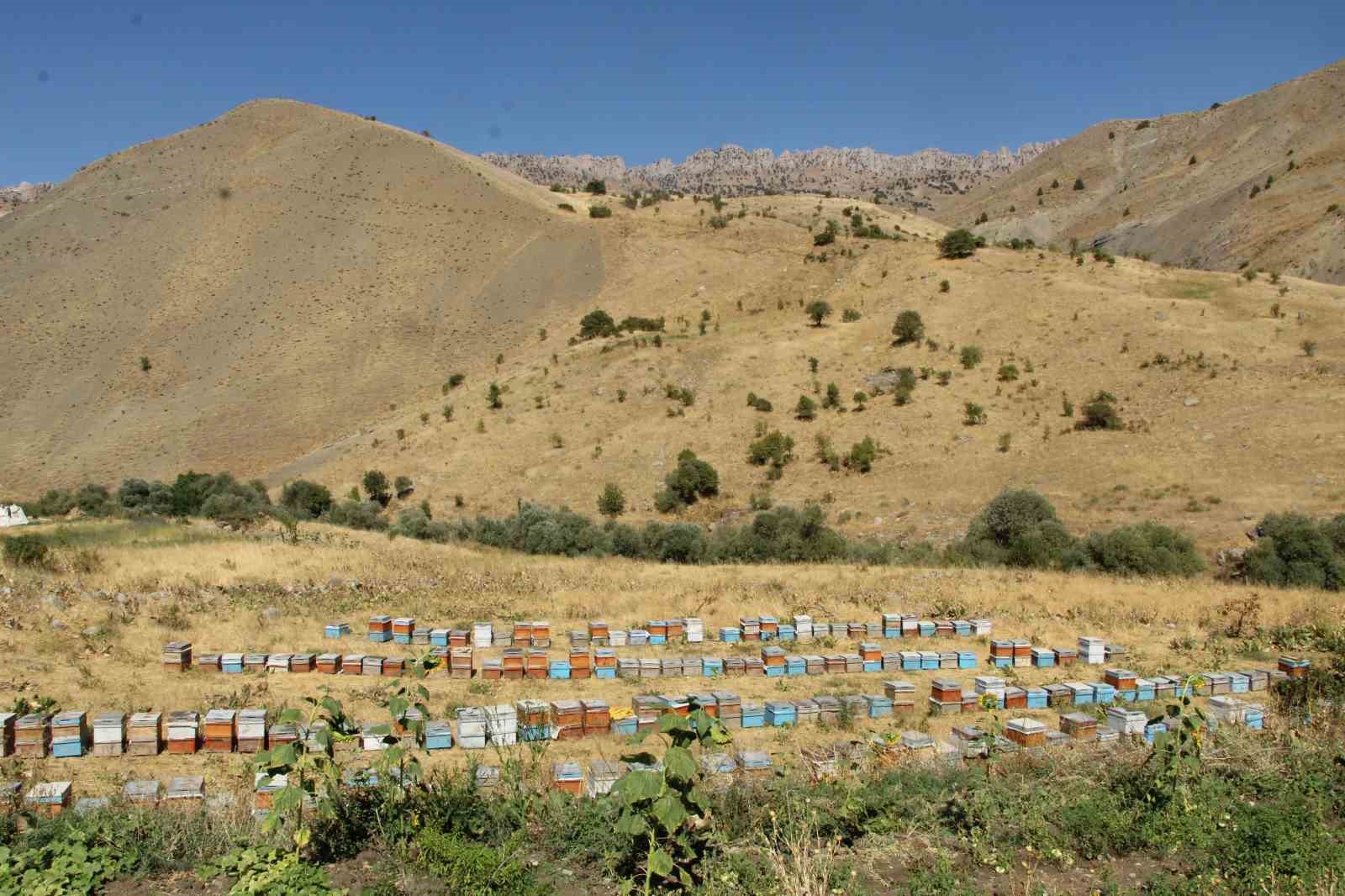 ŞIRNAK DAĞLARINDAN LONDRA’YA UZANAN ’ALTIN’ HİKAYE