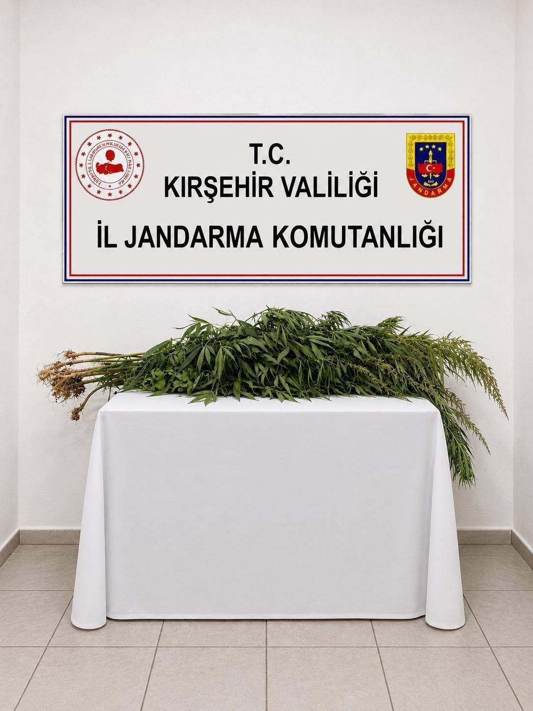 İKAMETLERDE YAPILAN ARAMALARDA 30 KÖK UYUŞTURUCU ELE GEÇİRİLDİ