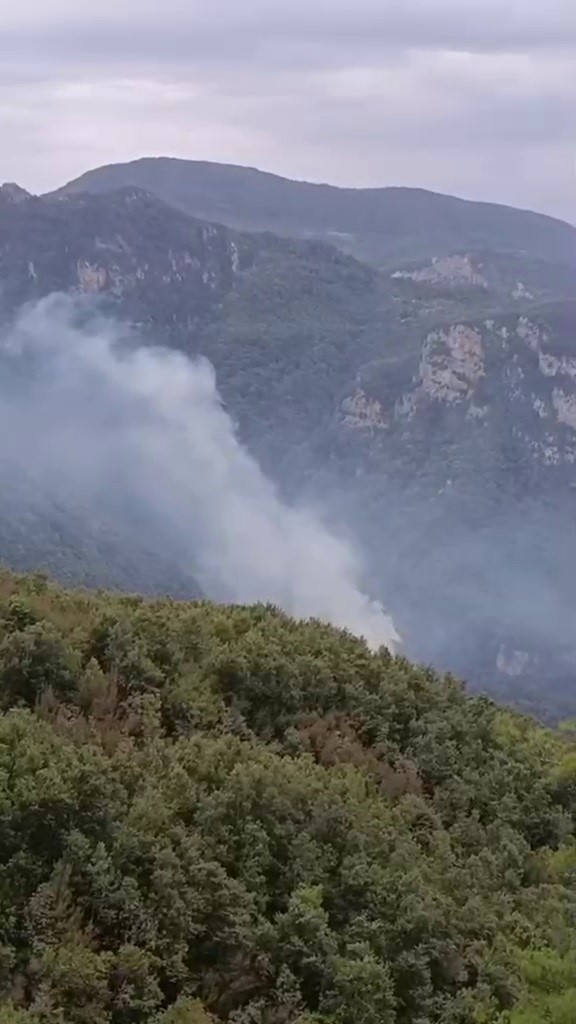 HATAY’DA ORMAN YANGINI: EKİPLERİN MÜDAHALESİ BAŞLADI