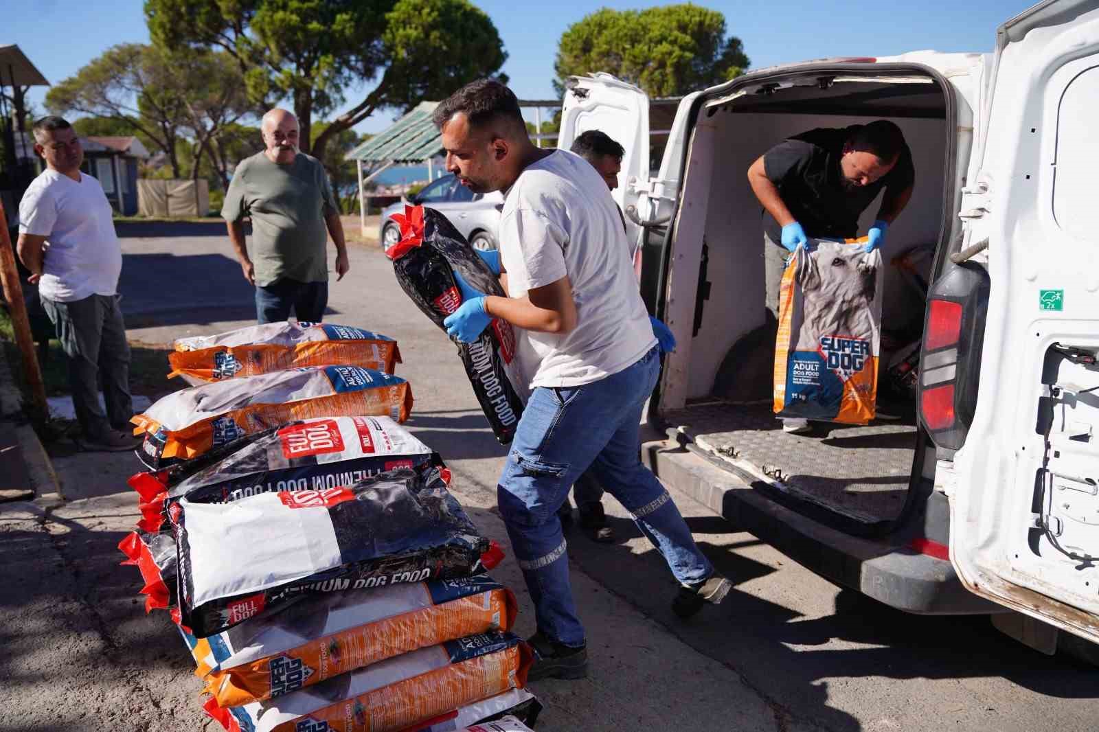 AYVALIK’TA CAN DOSTLAR İÇİN YAKLAŞIK 1 TON MAMA TOPLANDI