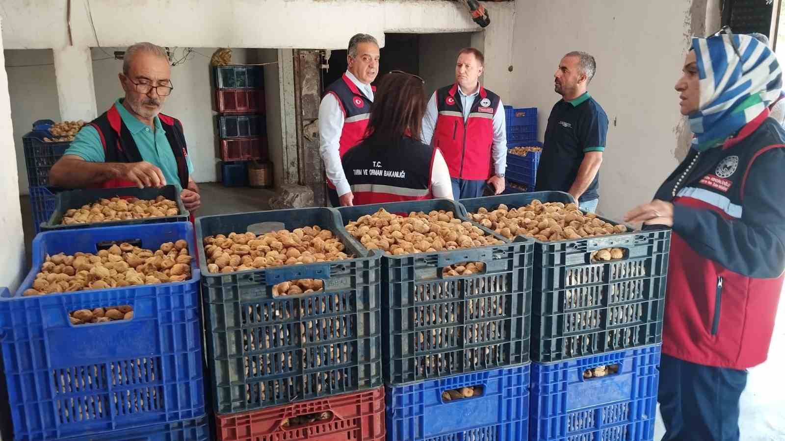AYDIN’DA KURU İNCİR İÇİN SIKI DENETİM