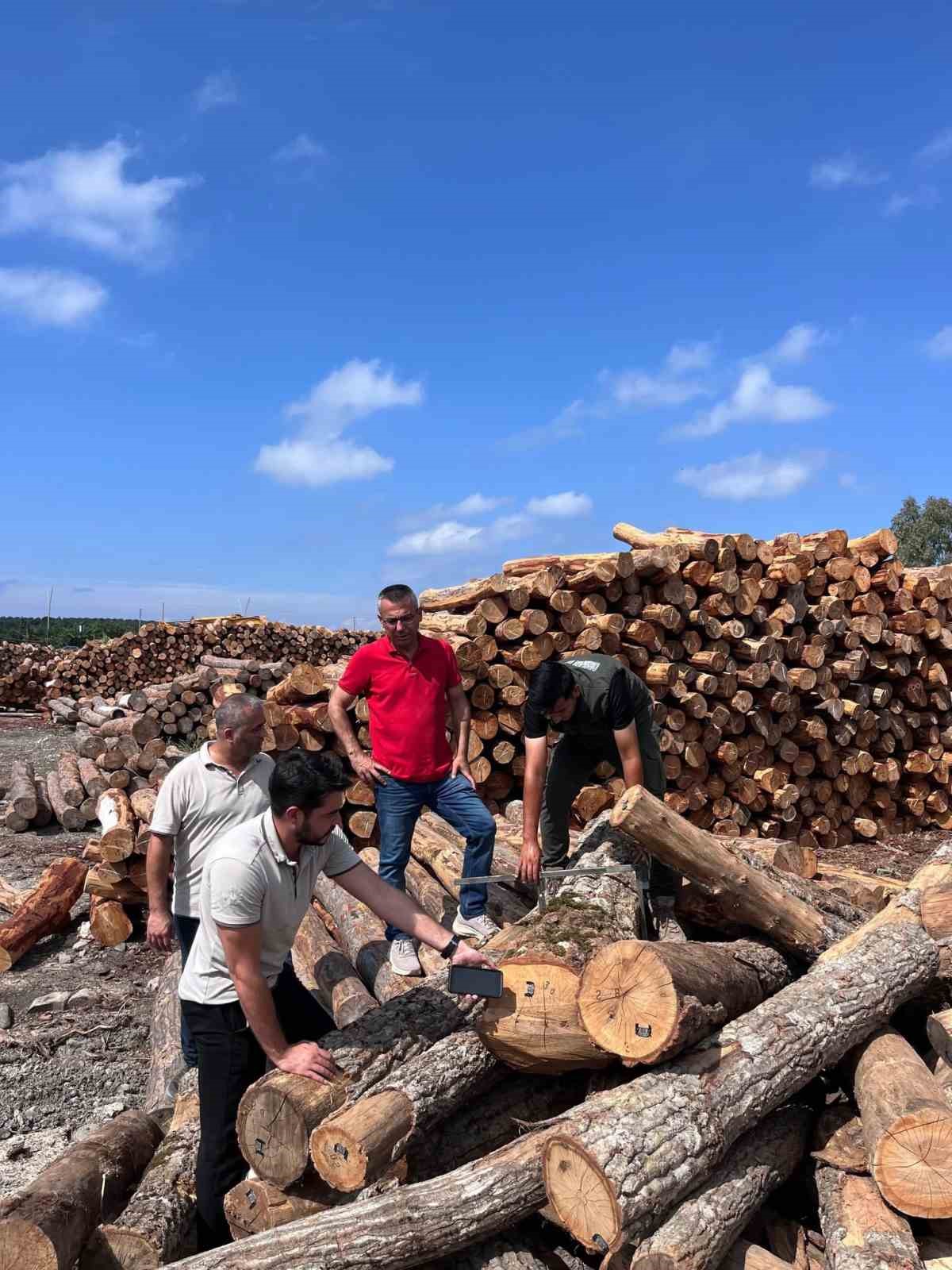 HATAY ORMAN BÖLGE MÜDÜRÜ GÜNAY, İSKENDERUN SAHİL ORMAN DEPOSU’NDA İNCELEMELERDE BULUNDU