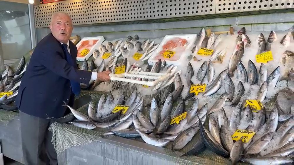 BALIK SEZONU BEREKETLİ BAŞLADI: HAMSİ 200, PALAMUT 100 LİRADAN BAŞLIYOR