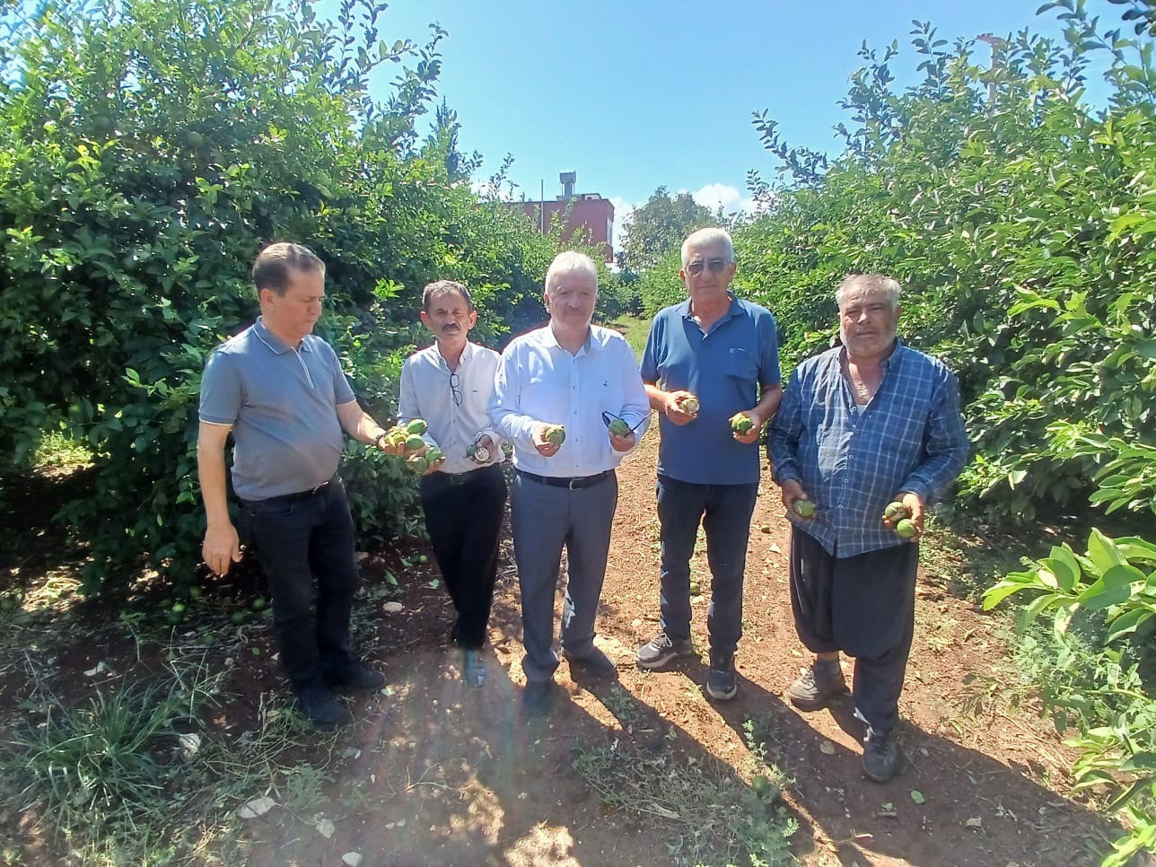 YÜREĞİR’DE DOLU AFETİ: YAKLAŞIK 35 BİN DÖNÜM TARIM ALANI ZARAR GÖRDÜ