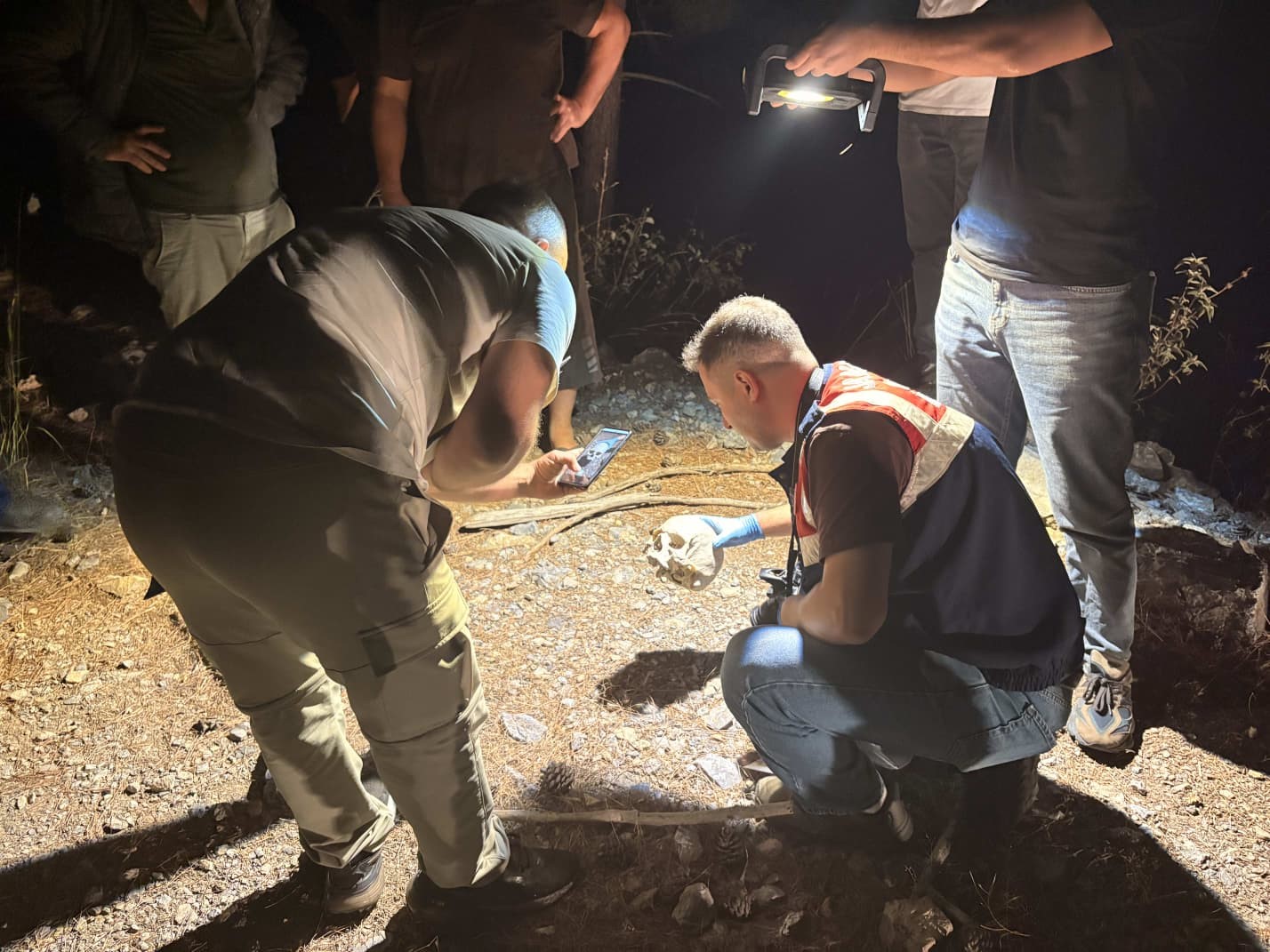 GAZİPAŞA’DA ORMANLIK ALANDA KAFATASI BULUNDU