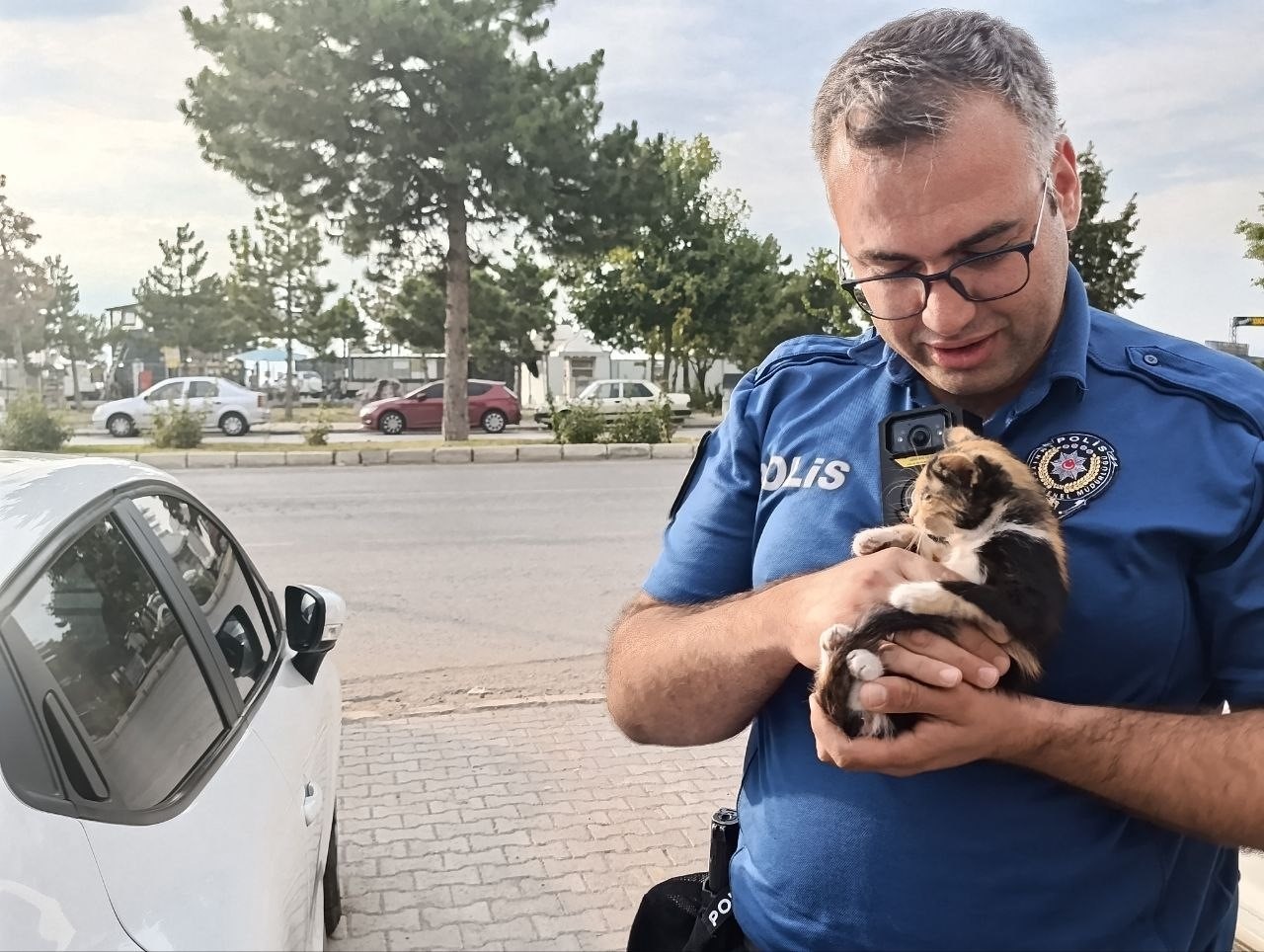 POLİS BU KEZ BİR YAVRU KEDİ İÇİN SEFERBER OLDU