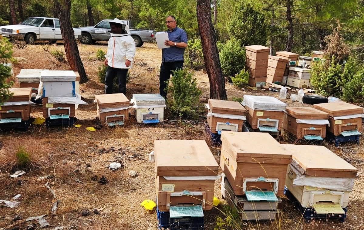 EMET’TE ARILI KOVAN TESPİT ÇALIŞMASI YAPILDI