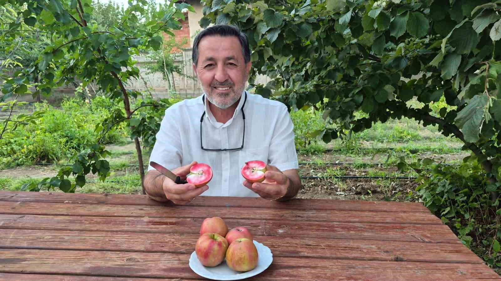 200 YILLIK TESCİLLİ LEZZET SORGUN’DA HAYAT BULDU: İÇİ DIŞI KIRMIZI ELMA KAN ŞEKERİNİ DENGELİYOR