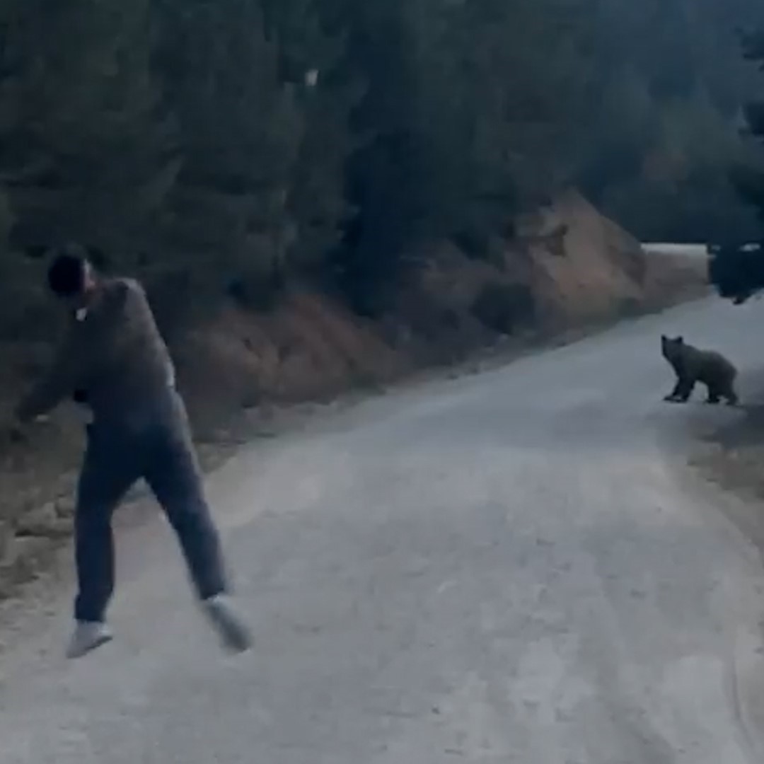 BOLU’DA KARŞILARINA ÇIKAN AYIYI TAŞLA KOVALADILAR