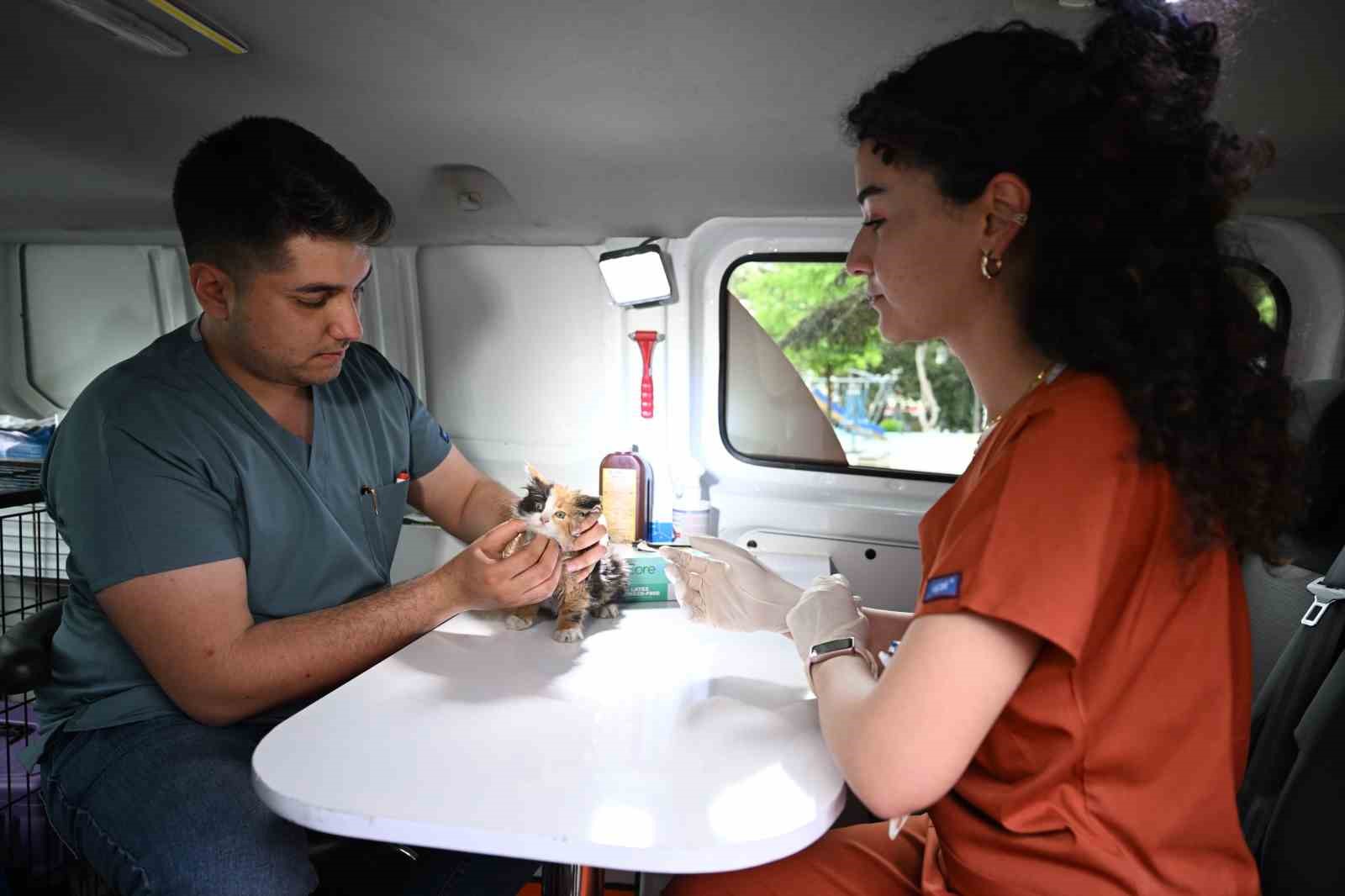 SAHİPSİZ SOKAK HAYVANLARINA ‘PATİVET’ ŞEFKATİ