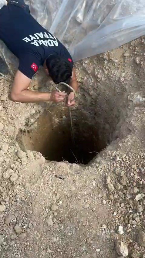 ŞANTİYEDEKİ KUYUYA DÜŞEN KÖPEĞİ İTFAİYE KURTARDI
