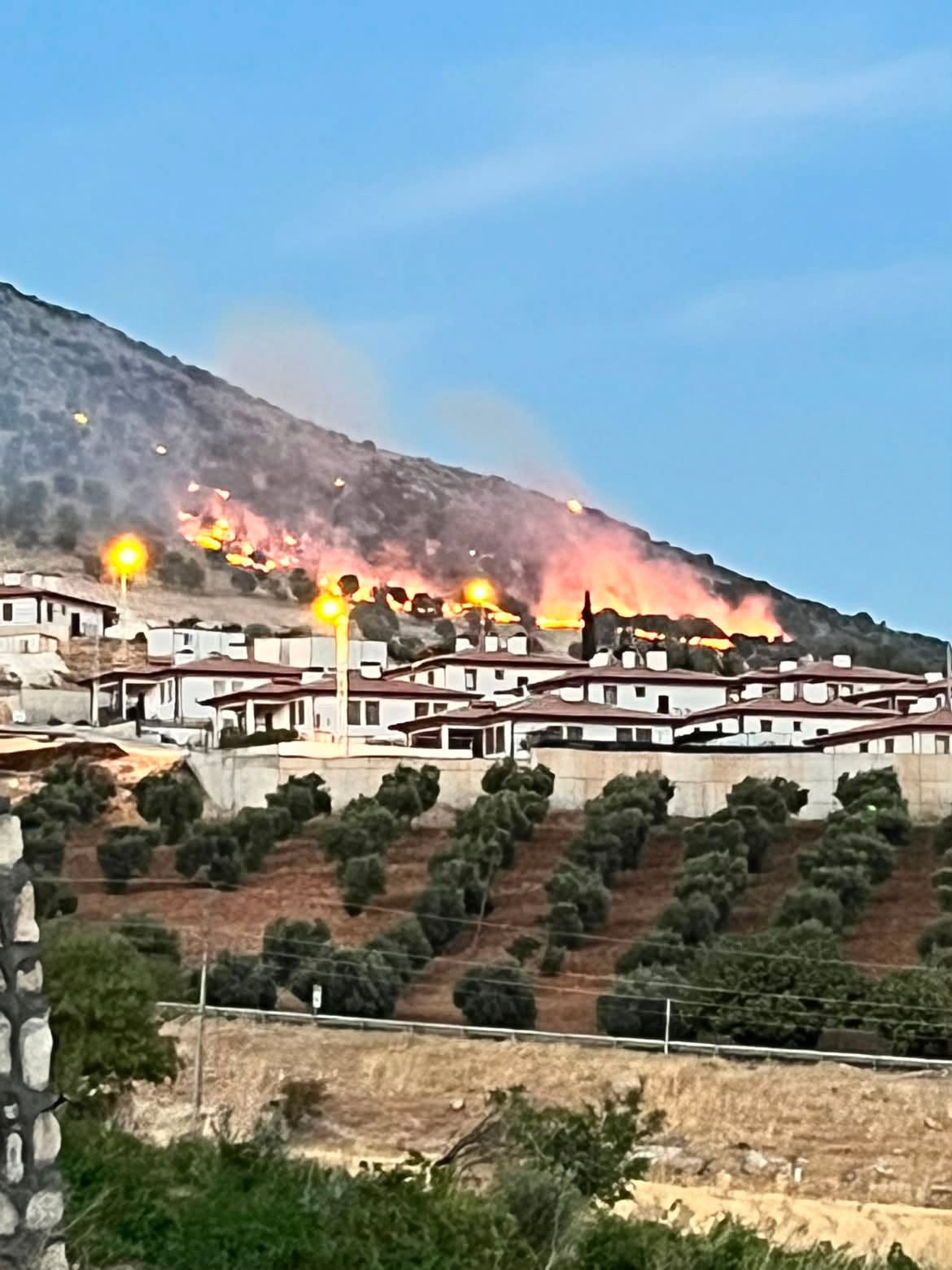 ADIYAMAN’DA ORMANLIK ALANDA KORKUTAN YANGIN