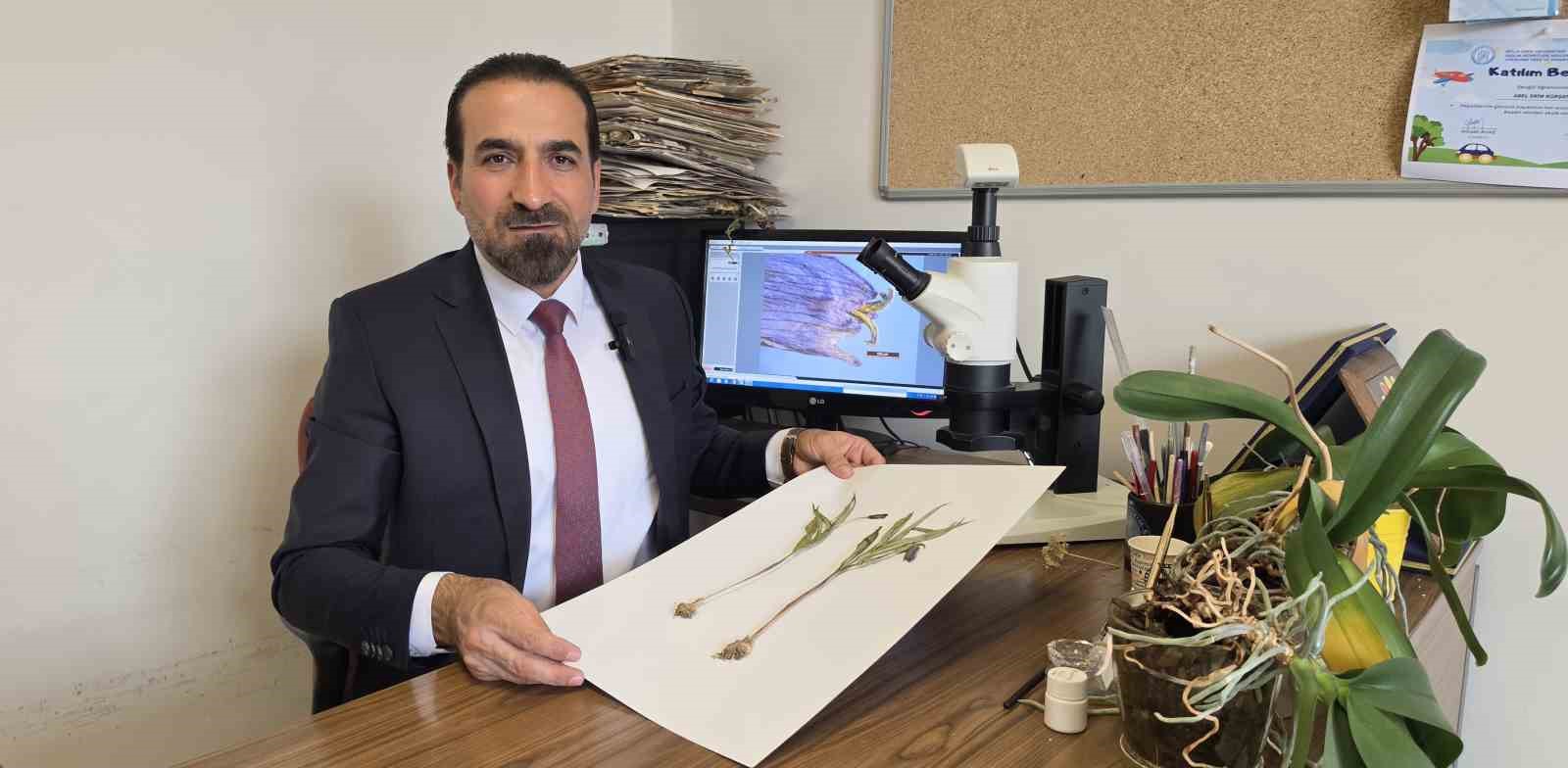 MUŞ’TA YETİŞEN YENİ BİTKİ TÜRÜ KEŞFEDİLDİ
